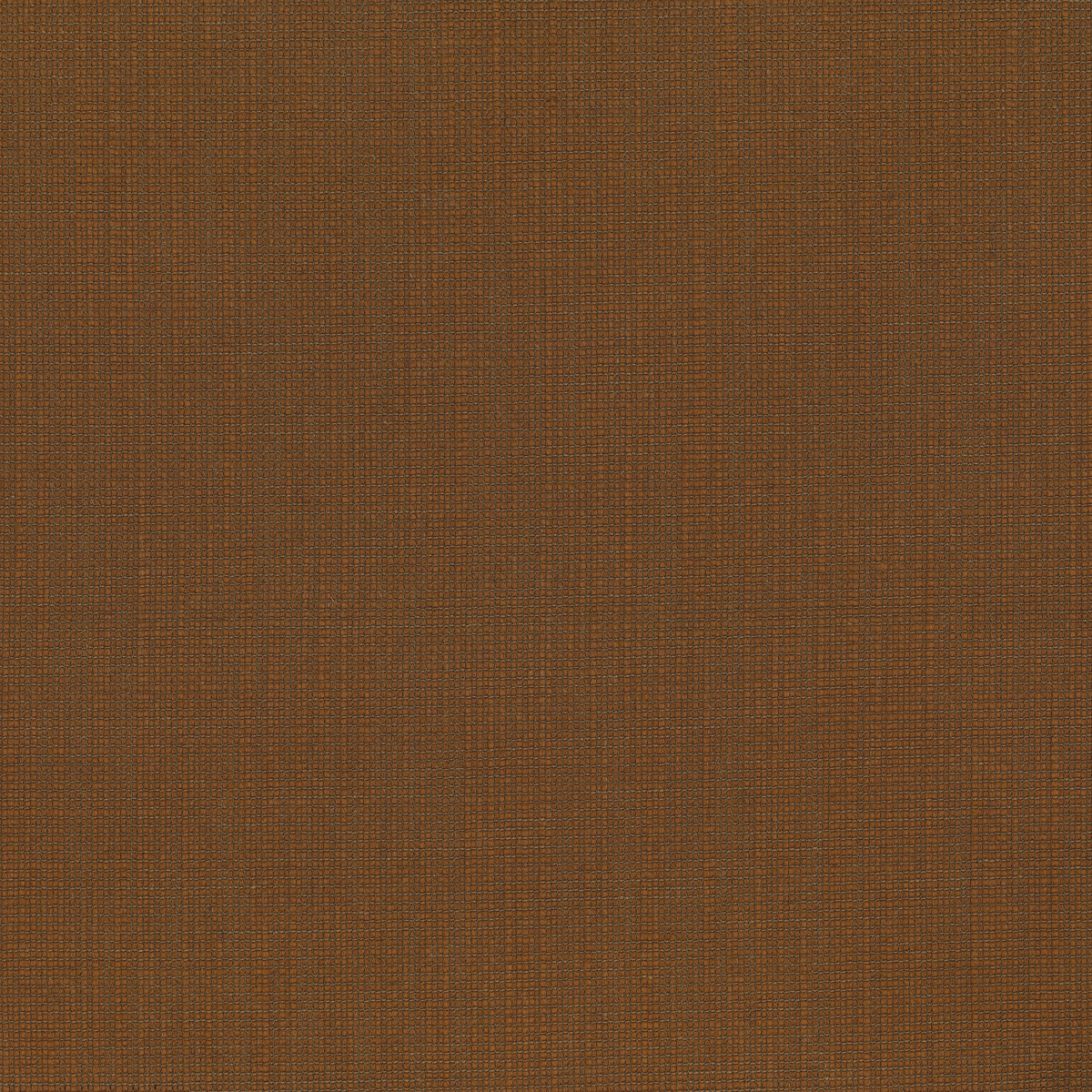 TATAMI 08